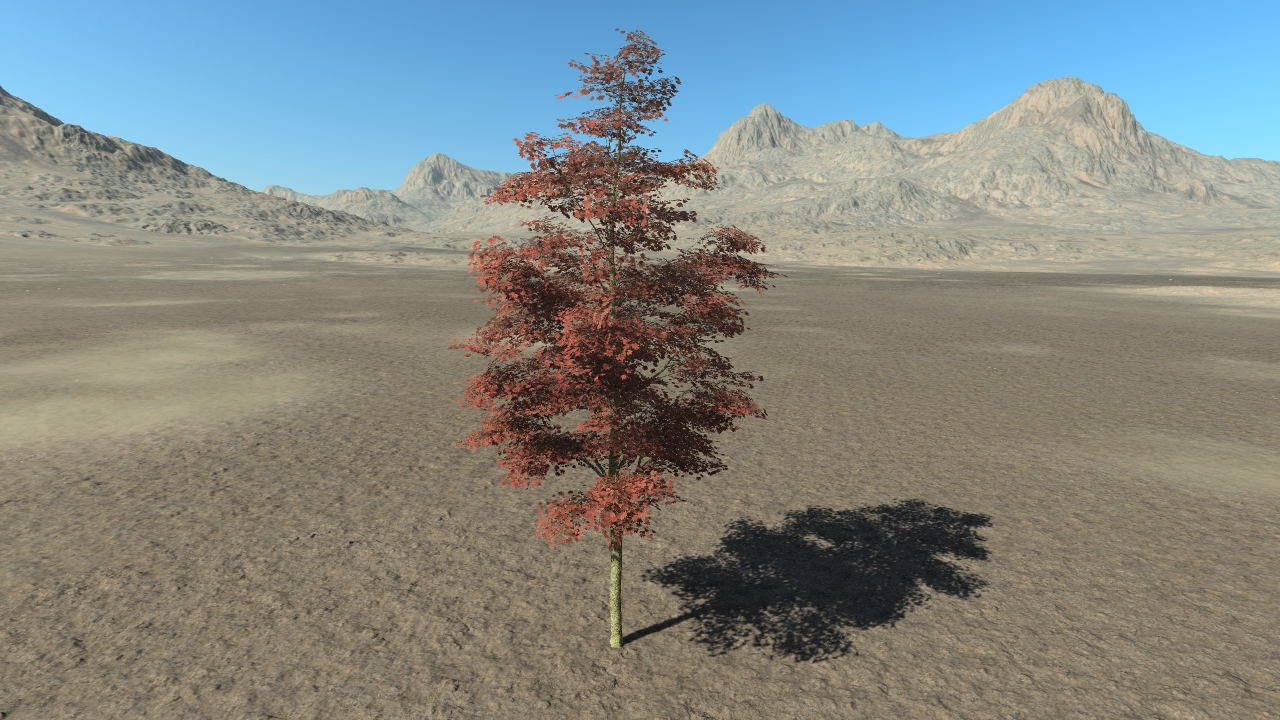 Summer Red Maple Trees_2