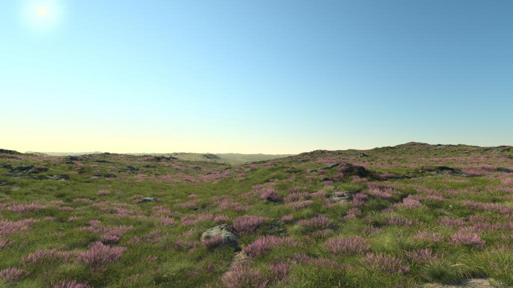 Flowering heath