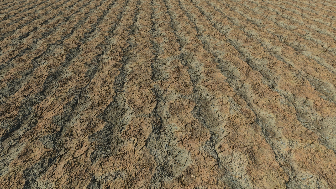 Fallow soils_2