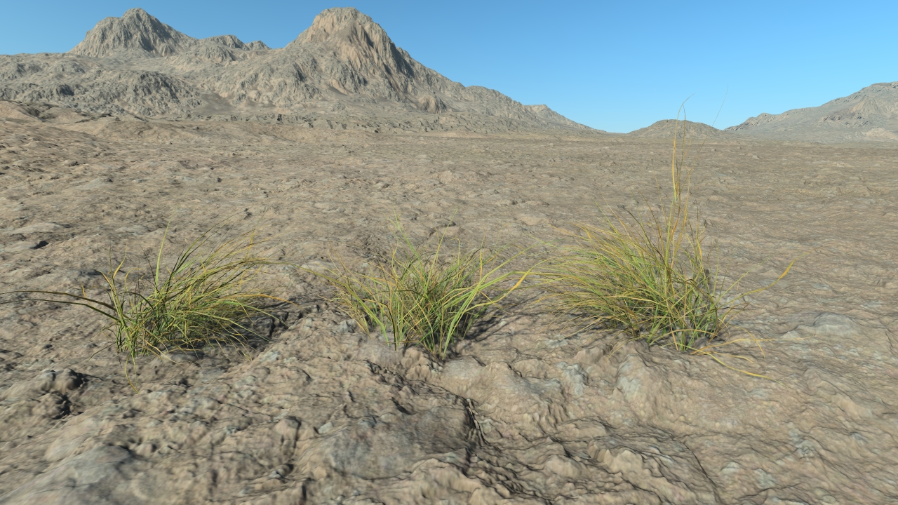 Summertime short grass_1