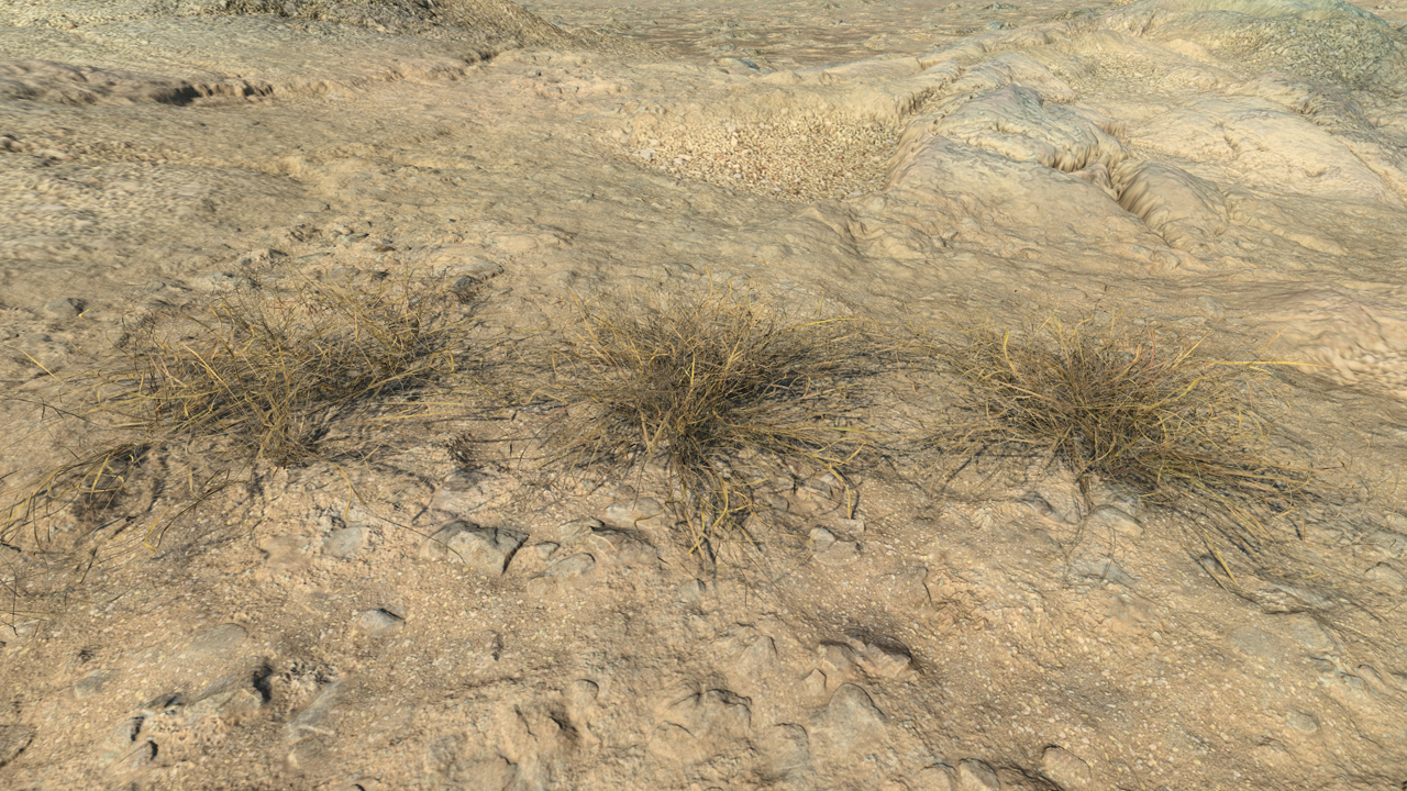 Dry Short Grass_2