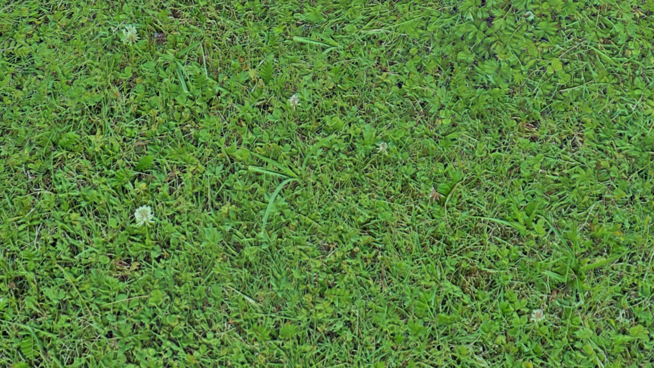 Grass covered soils_3