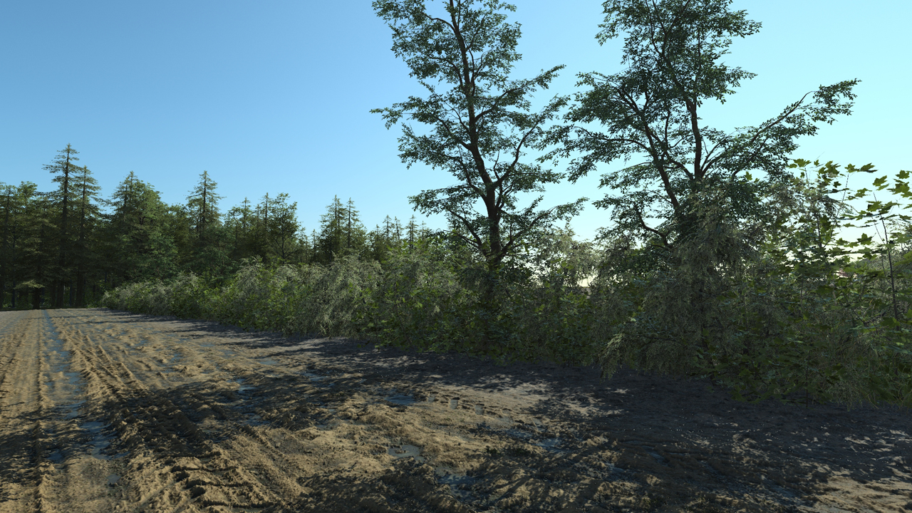 Wild Hedge_0