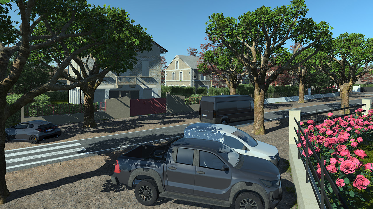 Platanus Pruned Trees_0