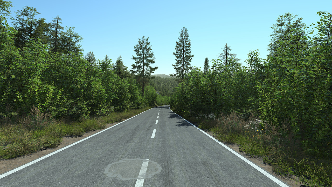 Roadside Bushes_4