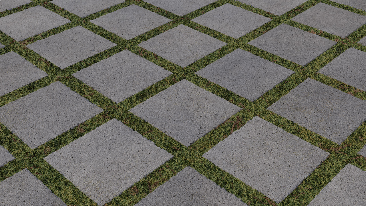 Grass pavements_0