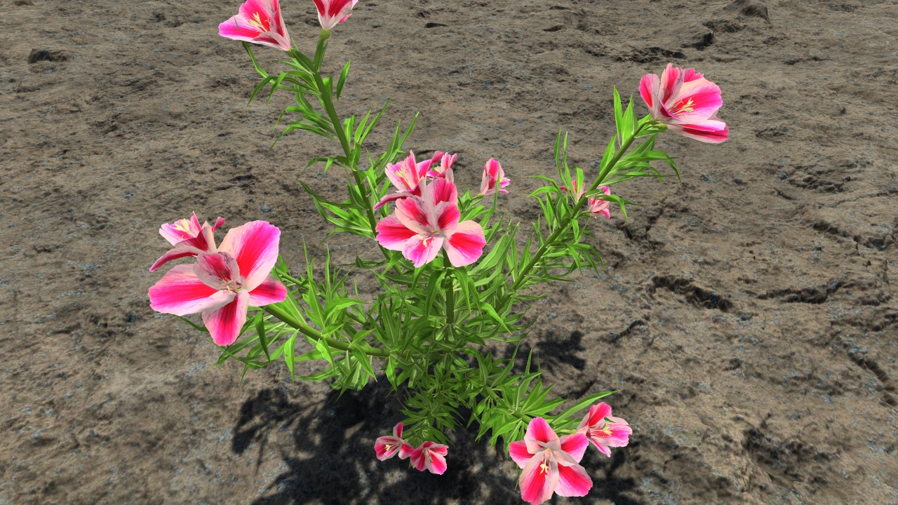 Farewell to spring_2